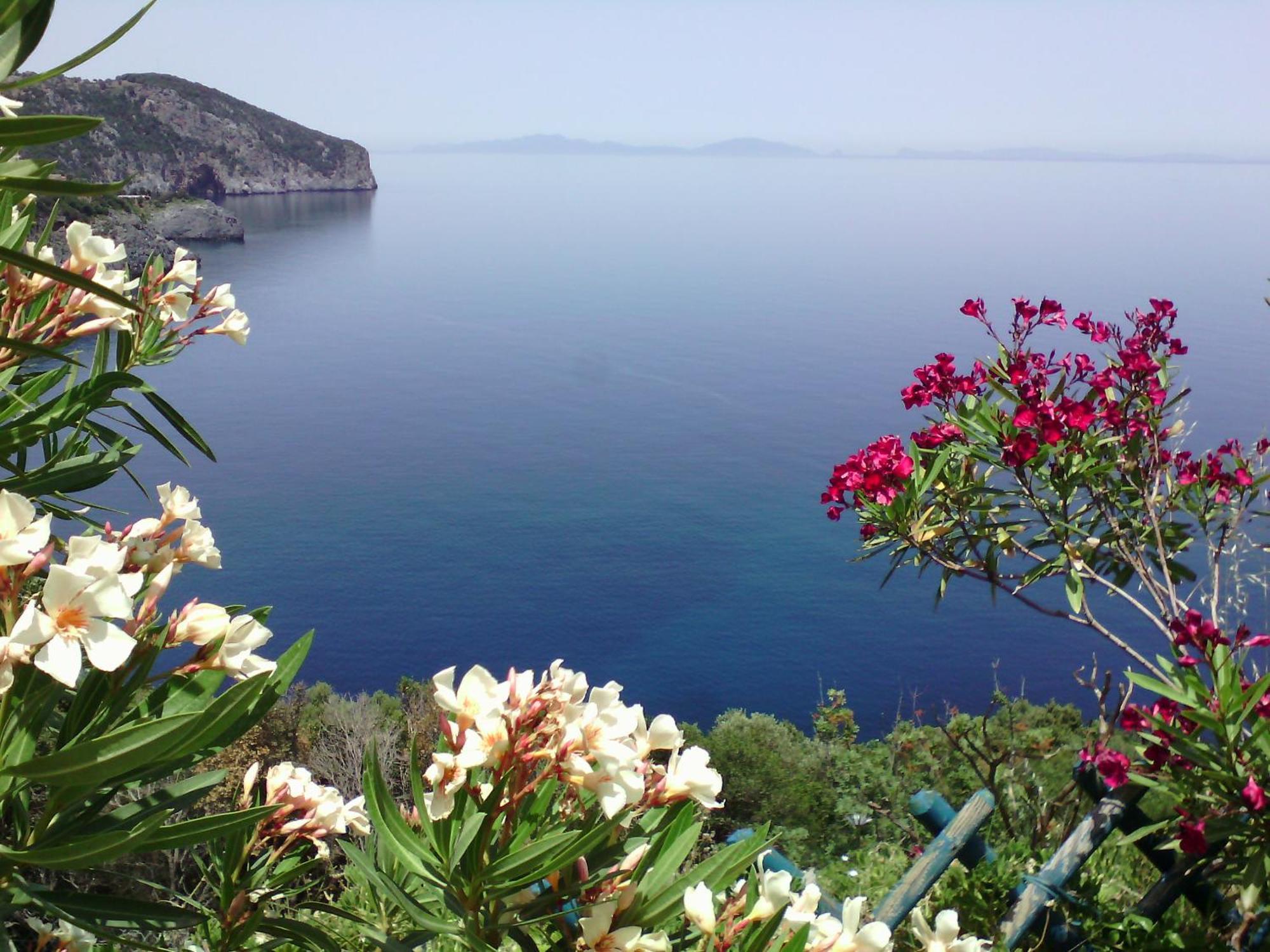 Kapetaniou Apartment Limnionas (Central Greece)