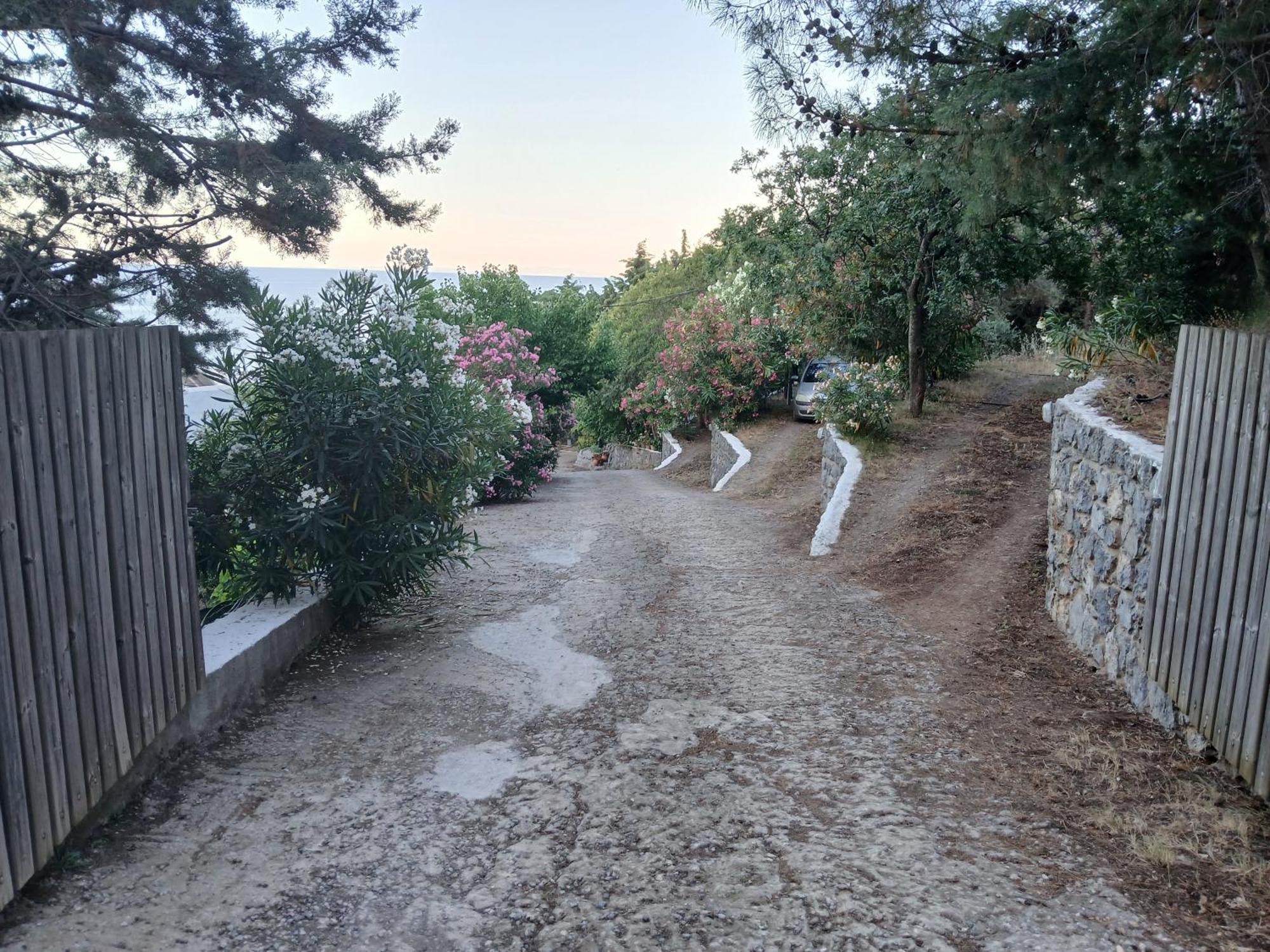 Kapetaniou * Λιμνιώνας