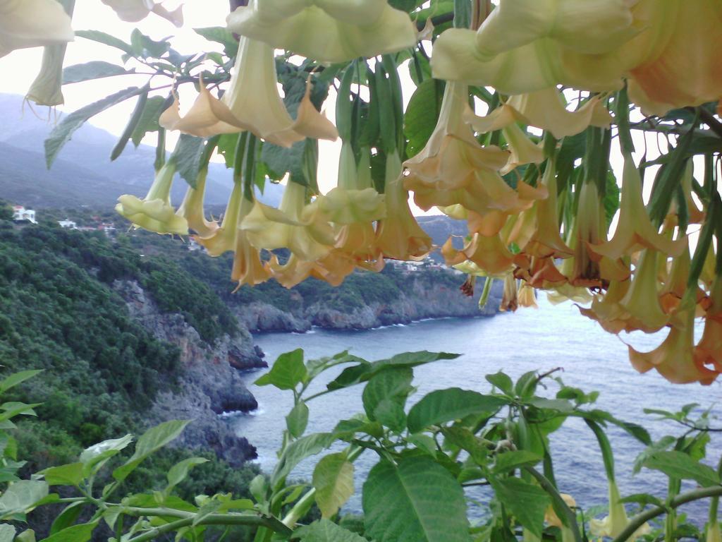 Apartment Kapetaniou Limnionas (Central Greece)