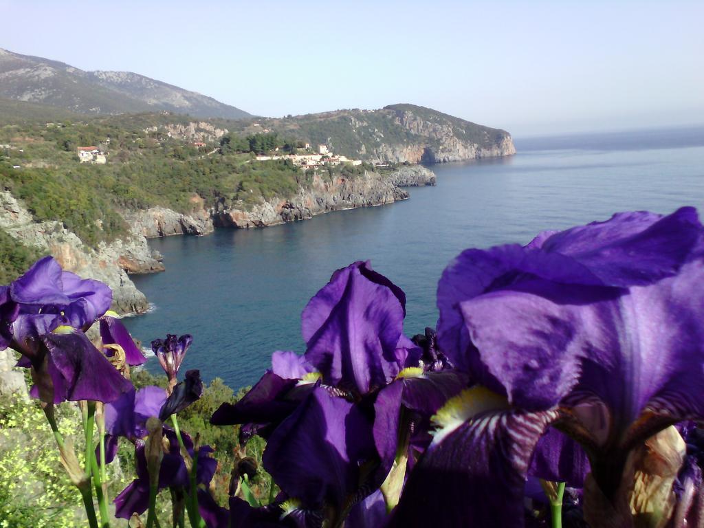 Kapetaniou Apartment Limnionas (Central Greece)
