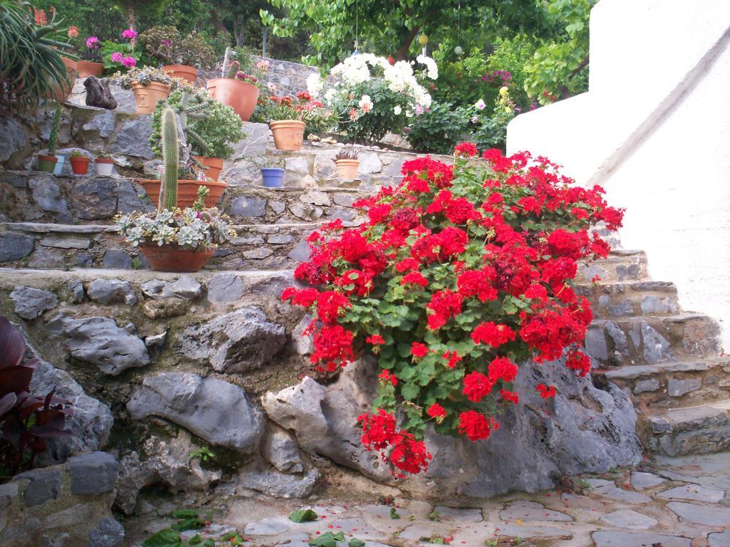 Kapetaniou Λιμνιώνας