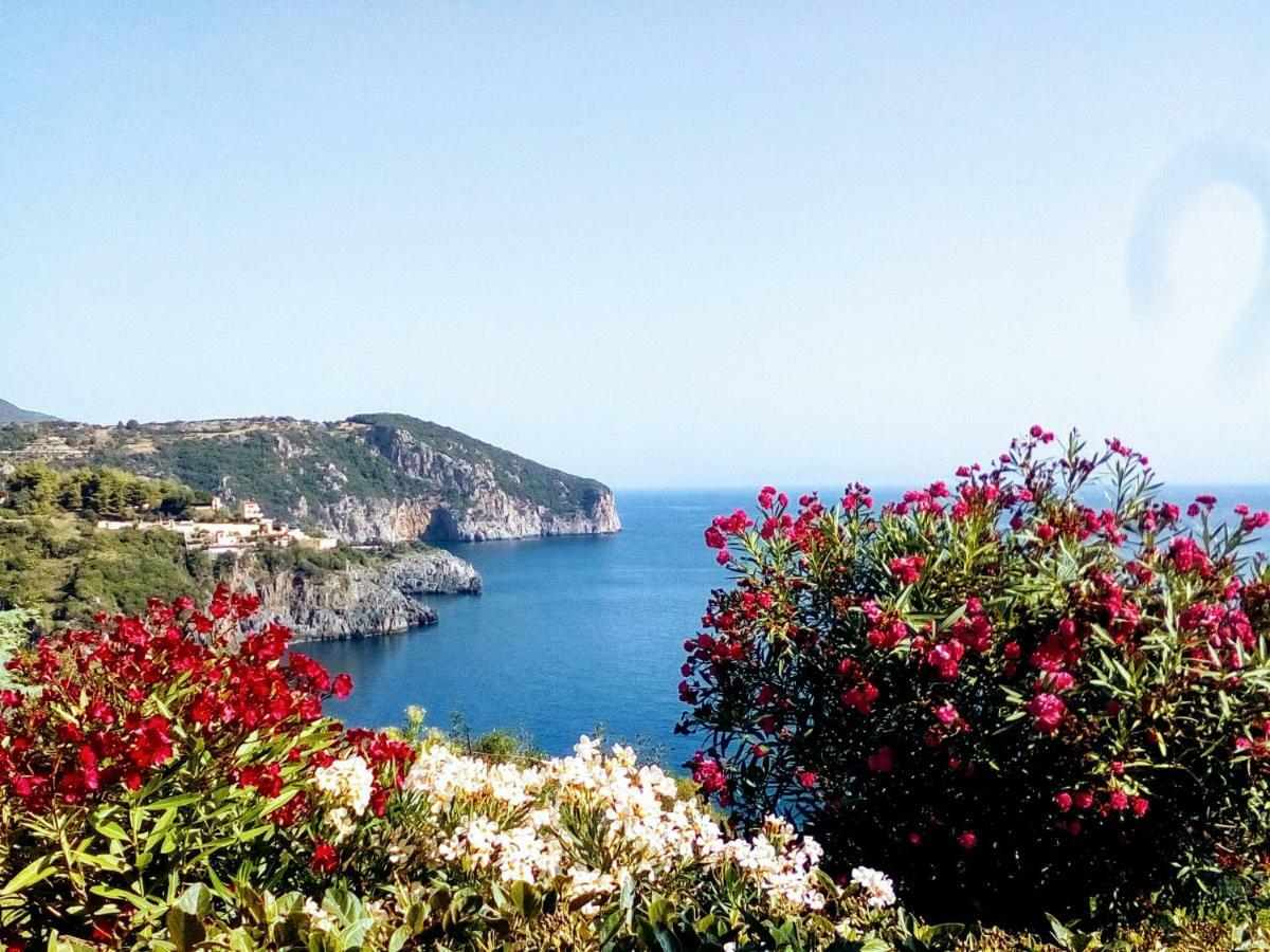 Kapetaniou * Limnionas (Central Greece)